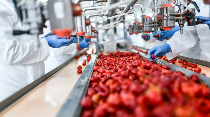The Use of CMMS in the Food Processing Industry